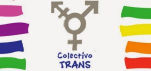 Educación Sexual del Colectivo Trans con perspectiva de Género: Travestis, Transexuales y Transgéneros